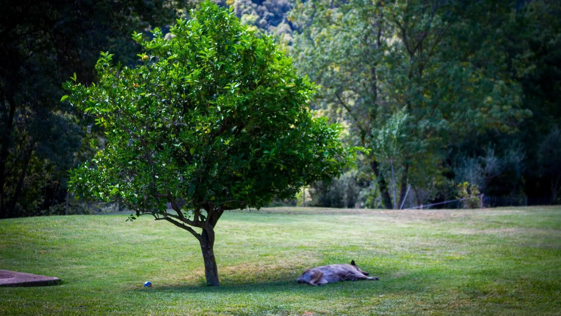 La Cabana Mieres  0*, Mieres (Girona) Hiszpania